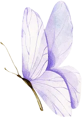 Schmetterling