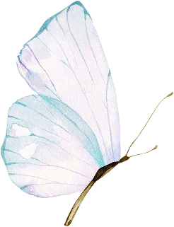 Schmetterling