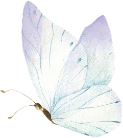 Schmetterling