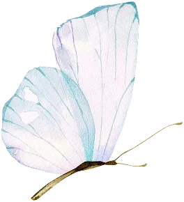 Schmetterling